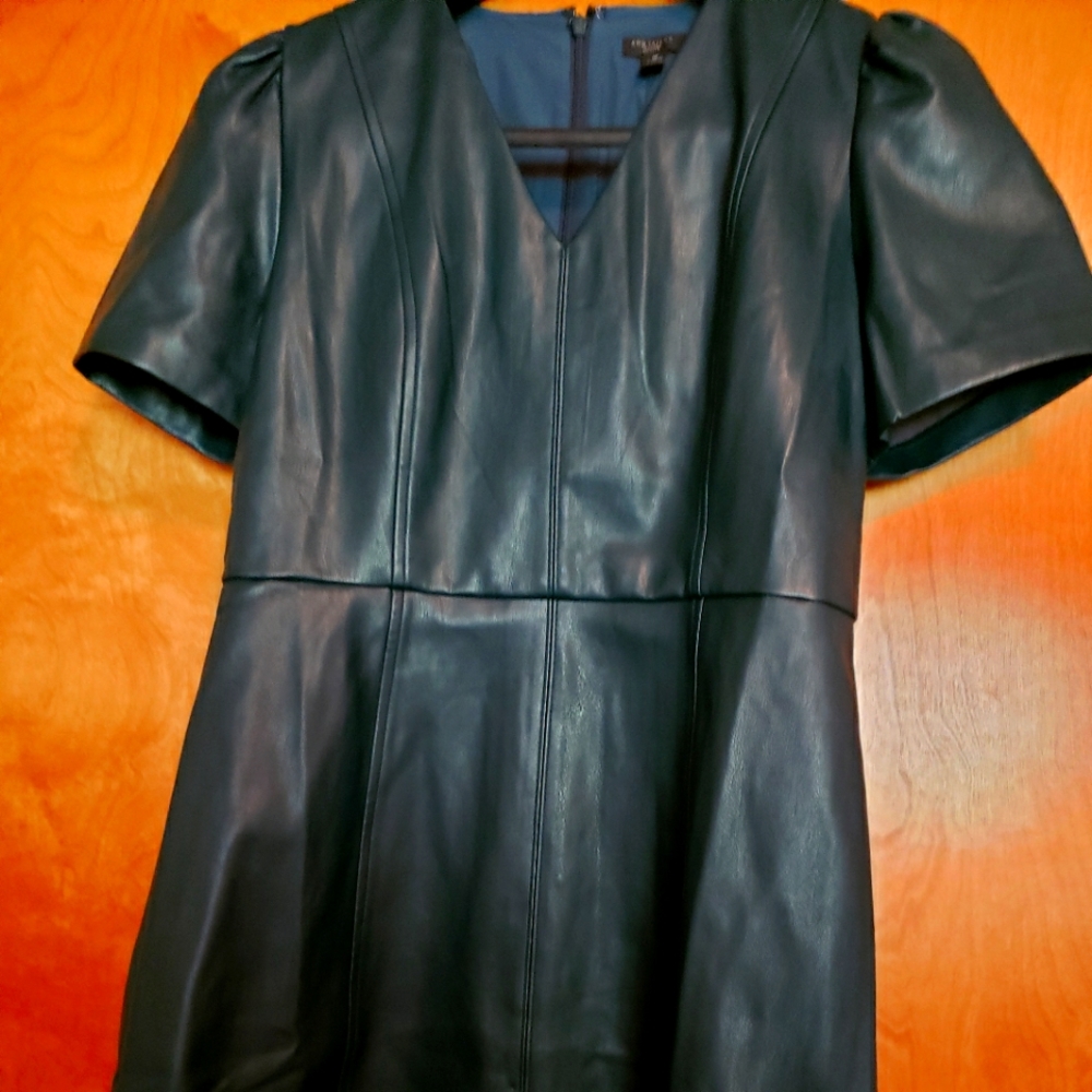 Ann Taylor Faux Leather Mini Dress